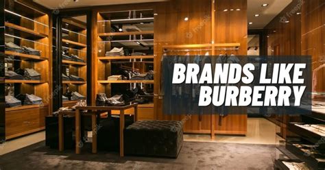 cheaper brands like burberry|burberry look alike.